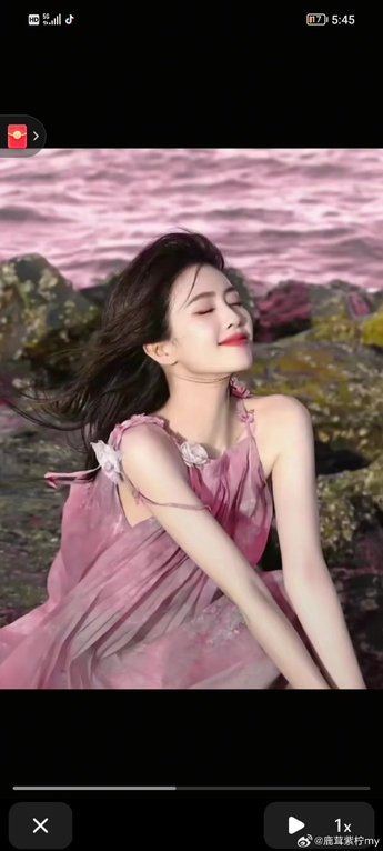 应用功能展示截图